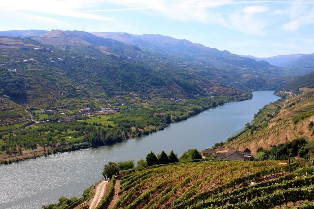 Camping Lamego Douro Valley Exterior foto