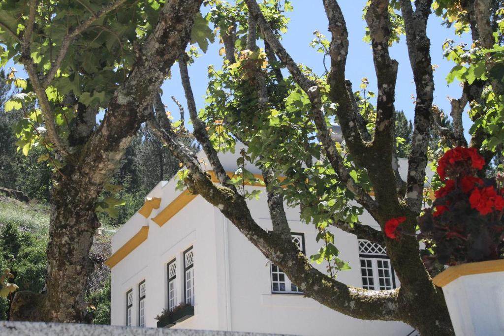 Camping Lamego Douro Valley Exterior foto